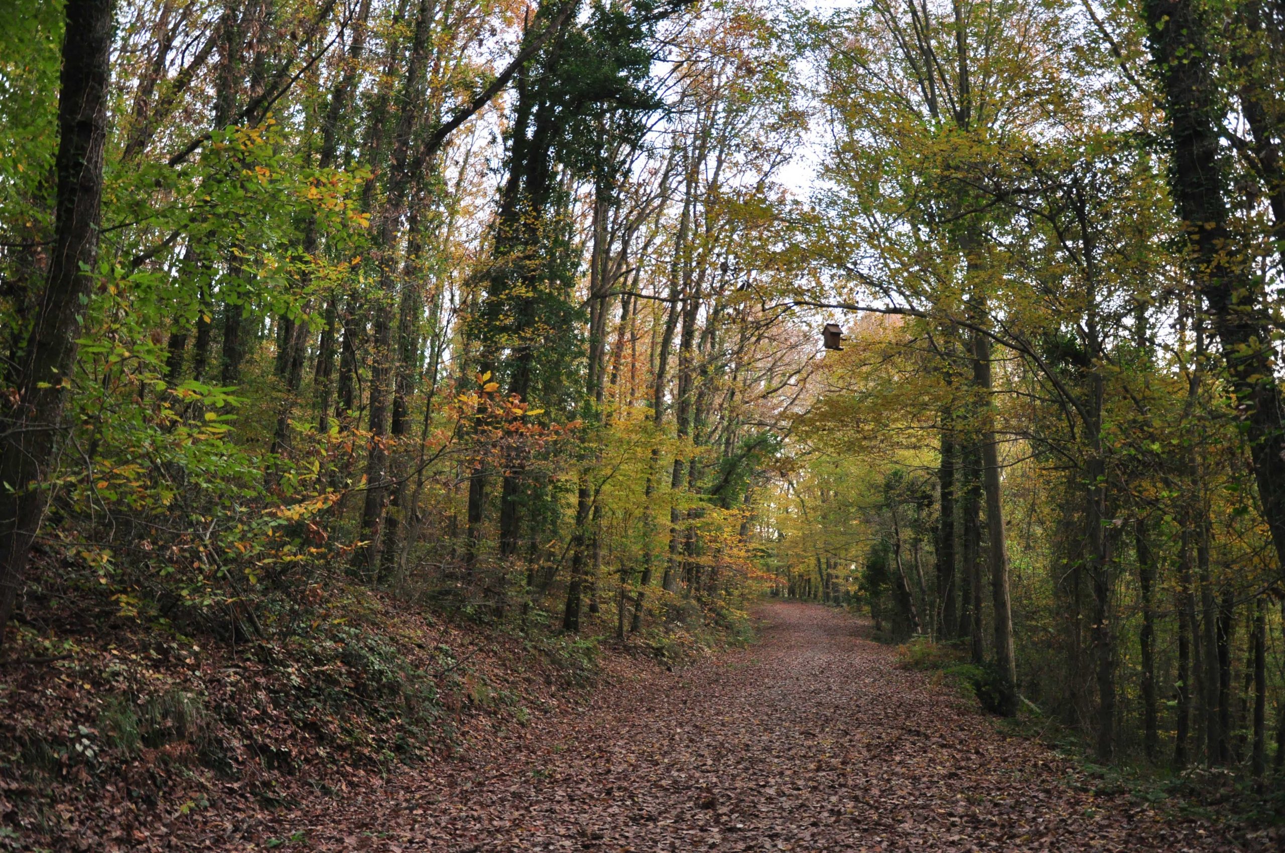 Read more about the article Yollar